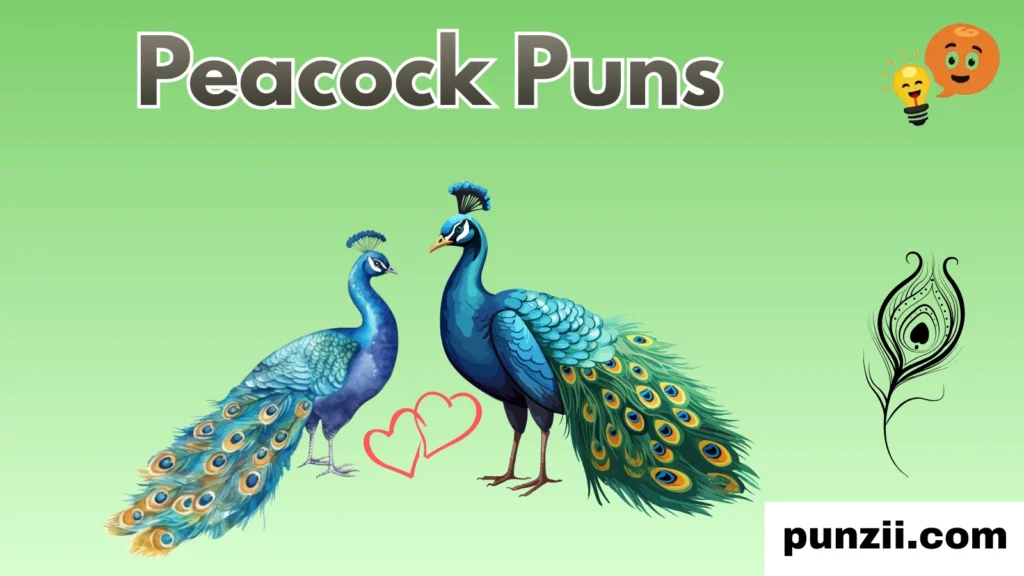 Peacock Pickup Lines 