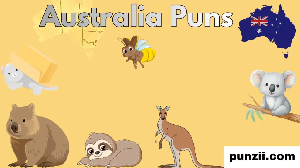 Animals Down Under 