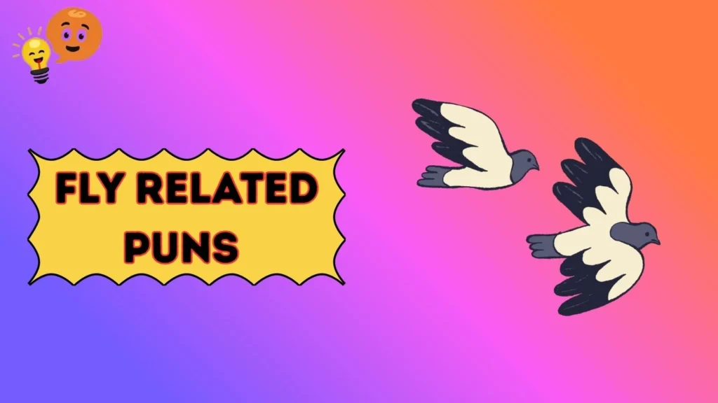 Fly Related Puns 