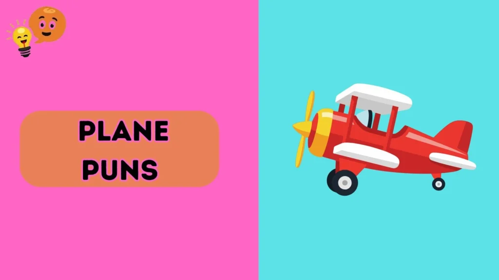 Plane Puns