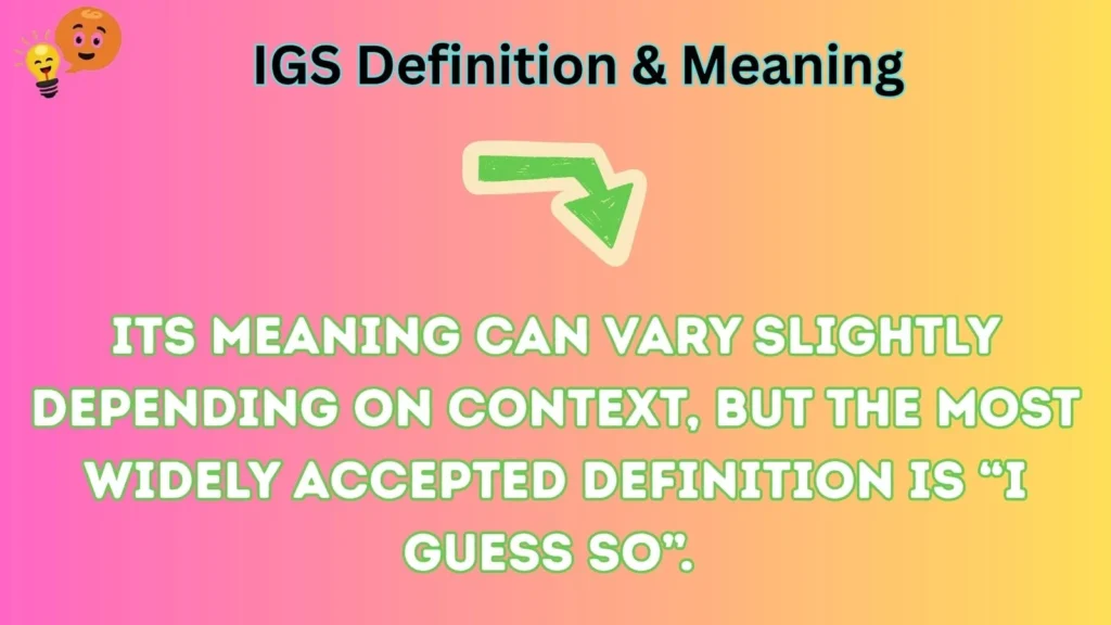 igs Definition & Meaning