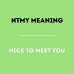 ntmy meaning