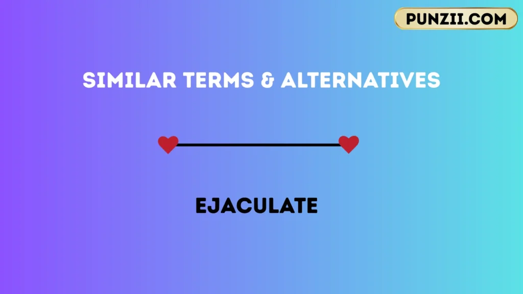 Similar Terms & Alternatives
